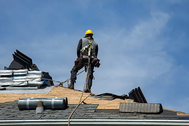 Professional Gutter Installation technician working in Graceville, MN